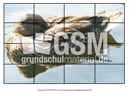 Puzzle-Stockente-10.pdf